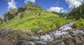 Mountain creek, picturesque spring view. Clean stream, green meadows Royalty Free Stock Photo