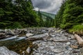 Mountain creek in Romania Royalty Free Stock Photo