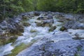 Mountain creek in the summer Royalty Free Stock Photo