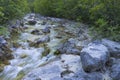 Mountain creek in the summer Royalty Free Stock Photo