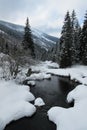 Mountain creek in winter Royalty Free Stock Photo