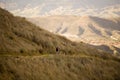 Mountain Cyclist