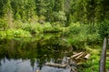 Mountain Dead Lake in the forest in the national park in the Skole Beskids near Lviv