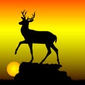 Mountain deer on top of a hill, silhouette on a sunrise background,