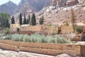 Mountain desert cloister landscape. Saint Catherine`s Monastery