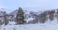 Mountain Didveli-Samtskhe-Javakheti-Georgia