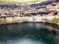 Mountain Ducklings in Goulden`s Sinkhole Royalty Free Stock Photo