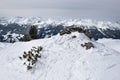 Mountain edge with snow buried tree and rock