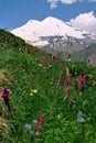 Mountain Elbrus. Royalty Free Stock Photo