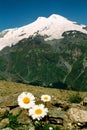 Mountain Elbrus. Royalty Free Stock Photo