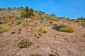 Mountain erosion formations of red mountain sandstones, Desert landscape with cacti, Arizona Royalty Free Stock Photo