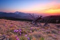 Mountain evening landscape