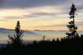 Mountain evening landscape with trees silhouettes