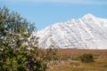 Mountain in Eyjafjordur Iceland