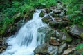 Falling Mountain river over stone Royalty Free Stock Photo