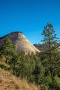 Mountain in the famous Zion National Park in Utah Royalty Free Stock Photo