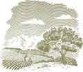 Mountain Farm Field Drawing