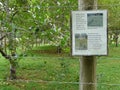 Mountain Farm Museum Heirloom Apple Trees Royalty Free Stock Photo