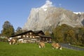Mountain farmhouses with Wetterhorn Royalty Free Stock Photo