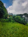 Mountain farming uttrakhand Himalayas