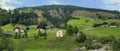 Mountain farmsteads and a chapel in the Gailvalley