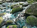 Mountain fast river, early spring