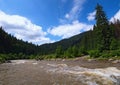 Mountain fast river through the forest. Magical scenery of forest and river with rocks. Summer landscape photo.