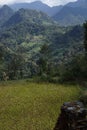 The Mountain fields in Annapurana area