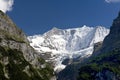 The mountain Fiescherhorn in Grindelwald