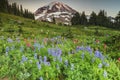 Mountain and flowers