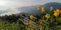 mountain flowers and wooden bridge Royalty Free Stock Photo