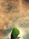 Mountain foamy stream among the green mossy stones Royalty Free Stock Photo