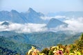 Mountain and fog Royalty Free Stock Photo