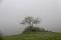 Mountain at Fog, Fog and Tree Iran, Gilan, Rasht Royalty Free Stock Photo