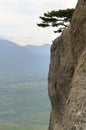 Mountain landscape, tree on a cliff top