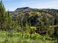 Mountain foothills in spring Royalty Free Stock Photo