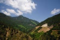 Mountain and forest