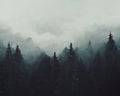 Mountain forest abstract background image. Misty on the mountains. Generative AI