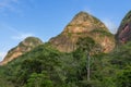 Mountain and forest at Amboro park