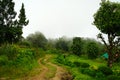 Mountain Forest Background at Lungchok