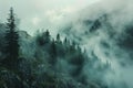 Mountain forest enshrouded in fog