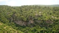 Mountain and forest in Europe in the summer. Green mountain forest landscape. Fantastic forest landscape. Mountain forest in cloud