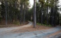 Mountain forest landscape Royalty Free Stock Photo