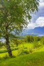 Mountain and forest landscape panorama at sunny day Vang Norway Royalty Free Stock Photo