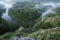 Mountain forest landscape. Trees and the river in the fog in the early morning. Royalty Free Stock Photo
