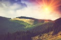 Mountain forest landscape under evening sky with clouds. Royalty Free Stock Photo