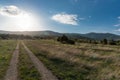 Mountain forest landscape under evening sky with clouds in sunlight road in forest