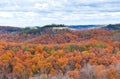 Mountain forest in late autumn