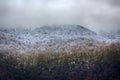 Mountain forest in low cloud and snowfall Royalty Free Stock Photo
