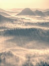 Mountain forest in misty clouds. Hilly forest land Royalty Free Stock Photo